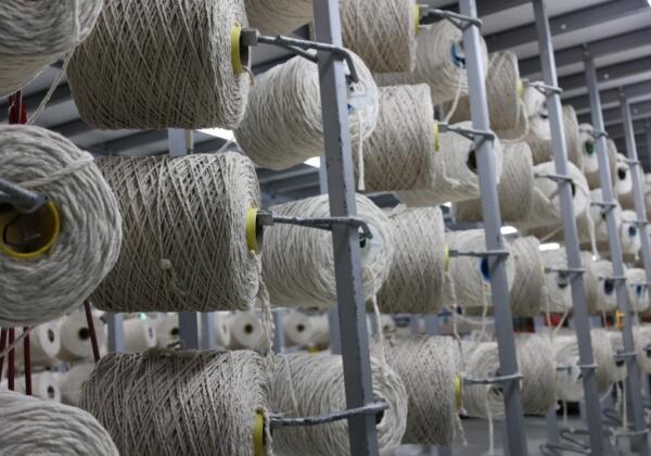 Sustainability & Circular Design