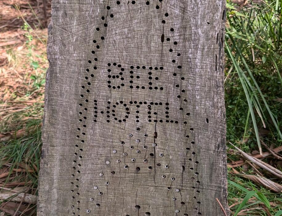Designing With Nature