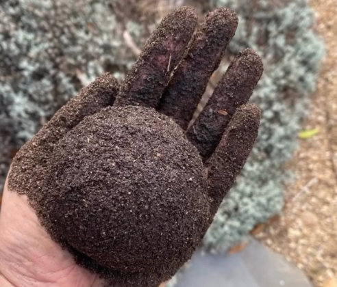 Grass Seed Ball