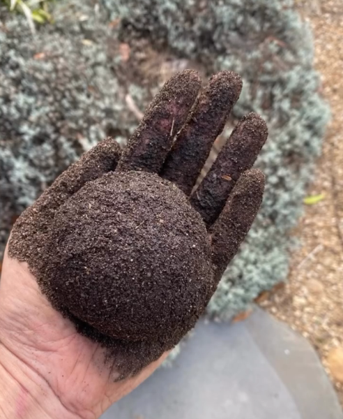 Grass Seed Ball